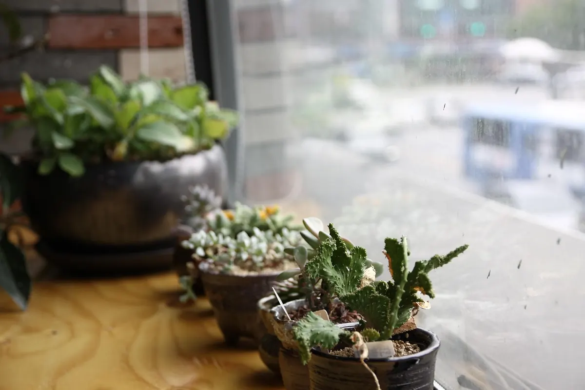 8 Spiritual Home Decor Ideas to Create a Calm, Grounded Space